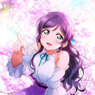 Nozomi Tojo